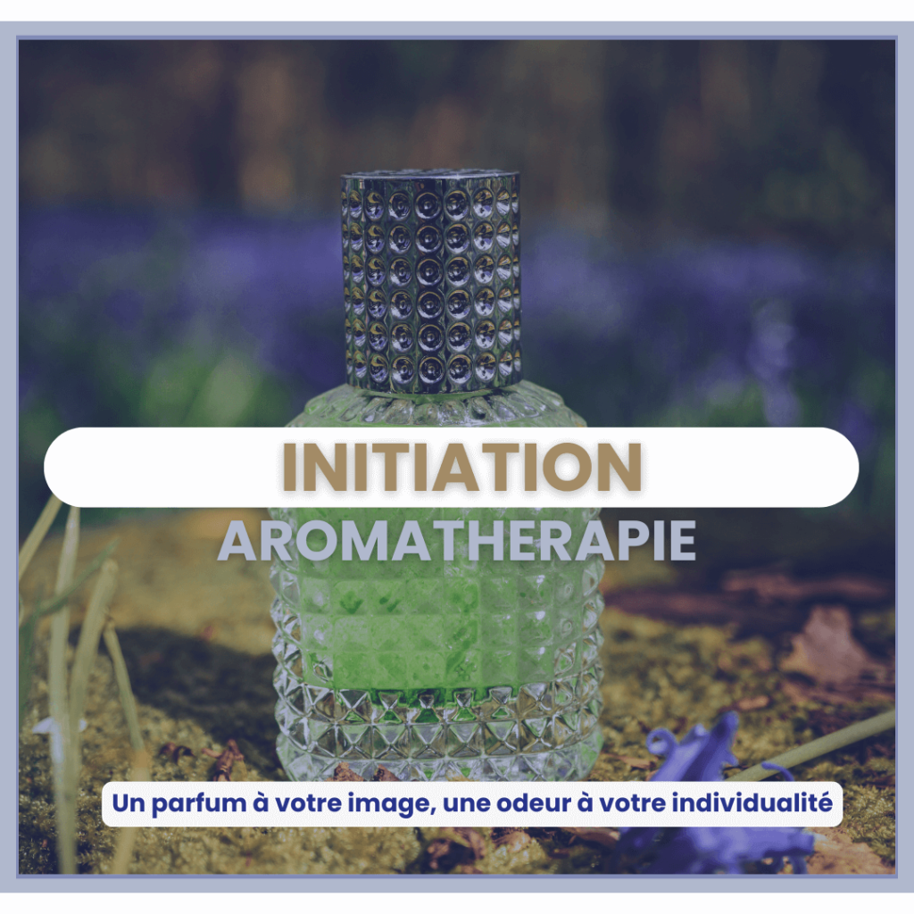 atelier création elixir aromathérapie fabienne dizy olliveaud