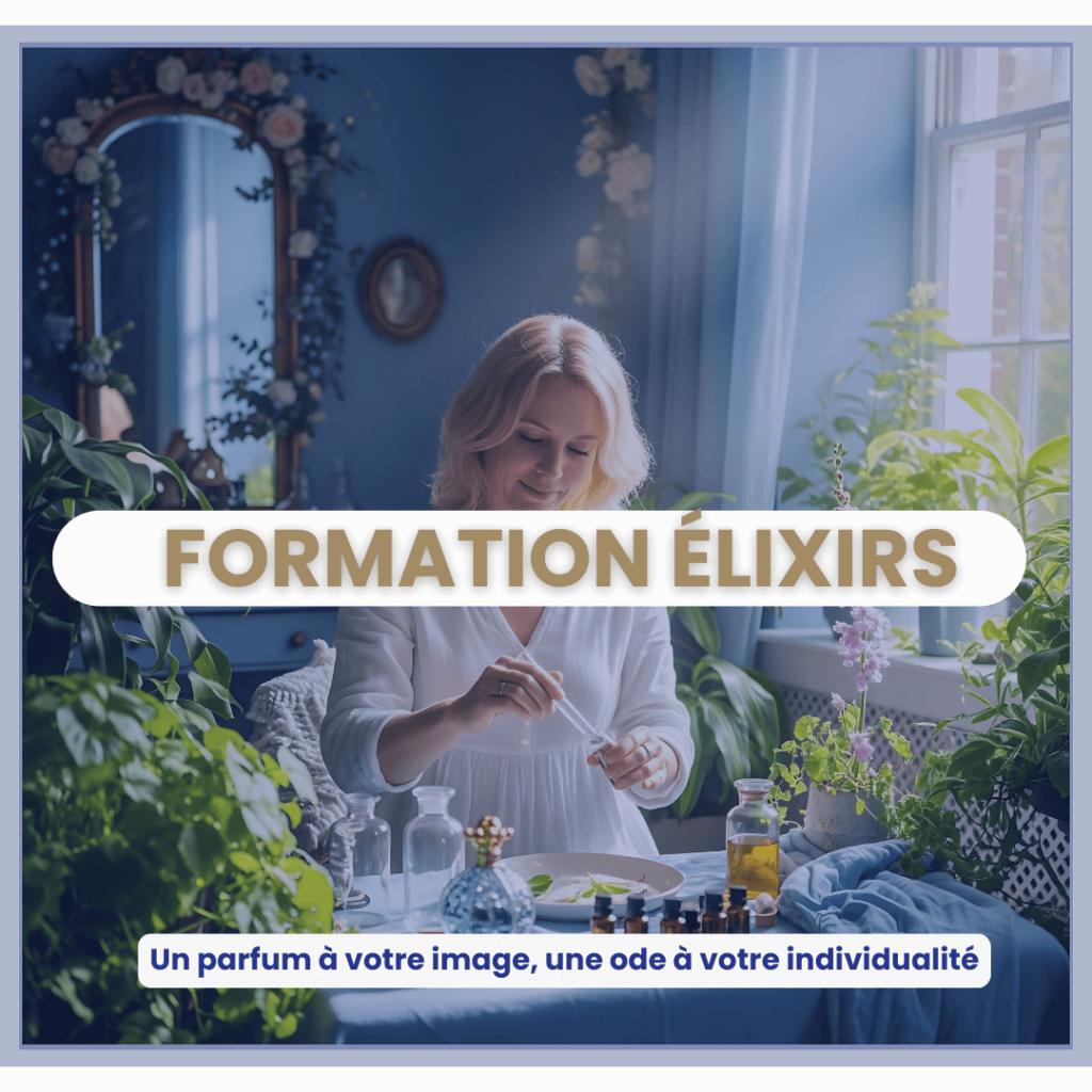 atelier création elixir aromathérapie fabienne dizy olliveaud